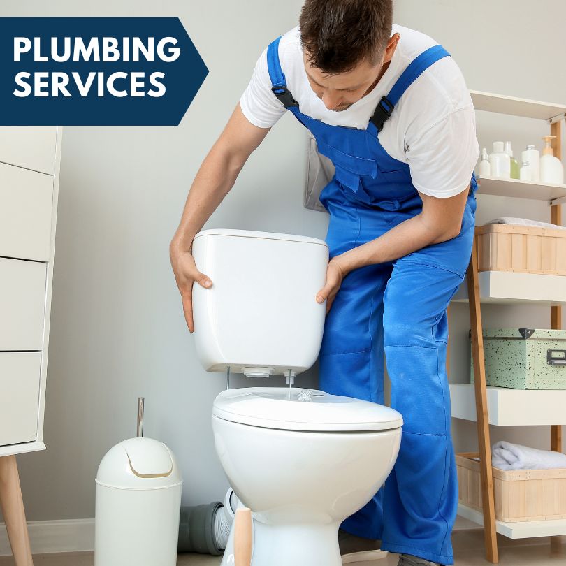 Plumbing Company in Temperance, MI